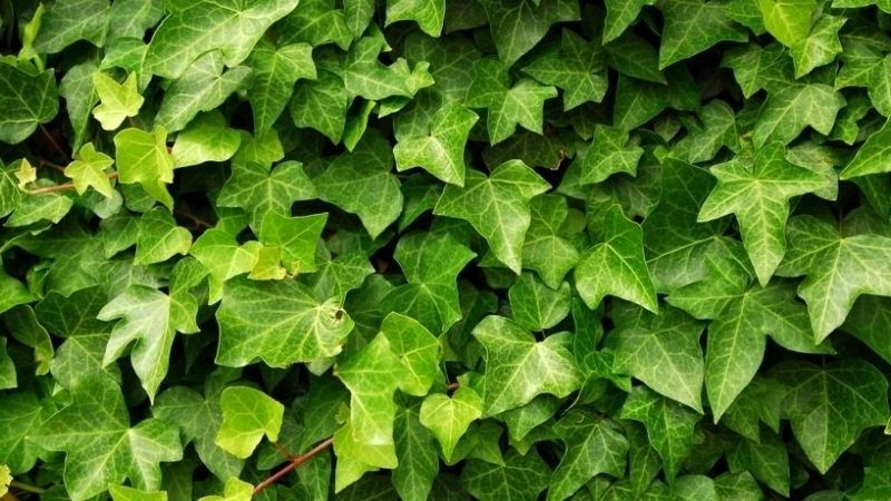 Những trader huyền thoại quanh tôi